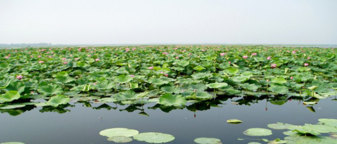 胡市龍骨湖.jpg 胡市龍骨湖.jpg